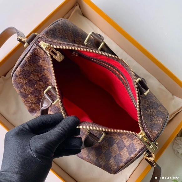 Aaa replica bags BANDOULIERE Louis 25 Vuitton SPEEDY 0824